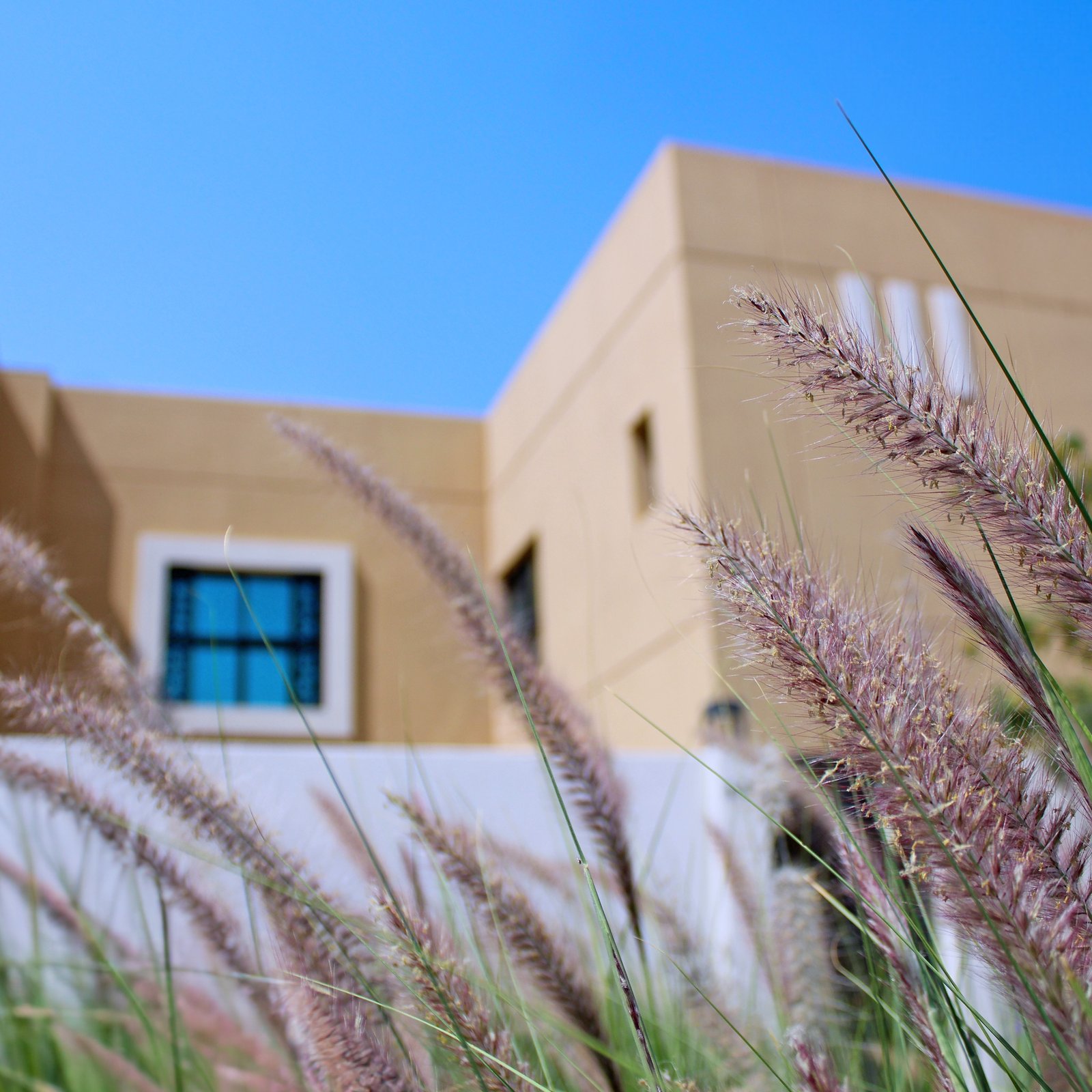 Sharjah Sustainable City 1