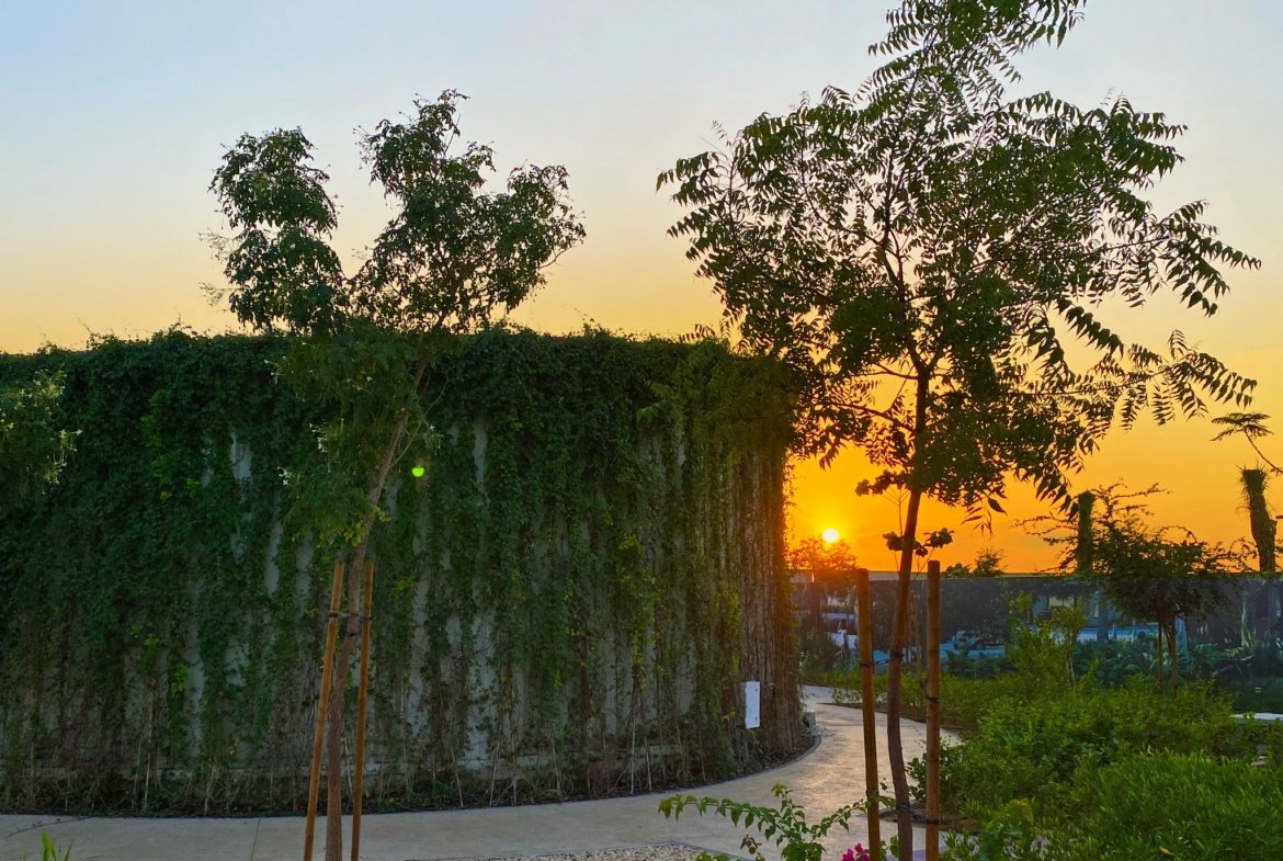 Sharjah Sustainable City _ solar