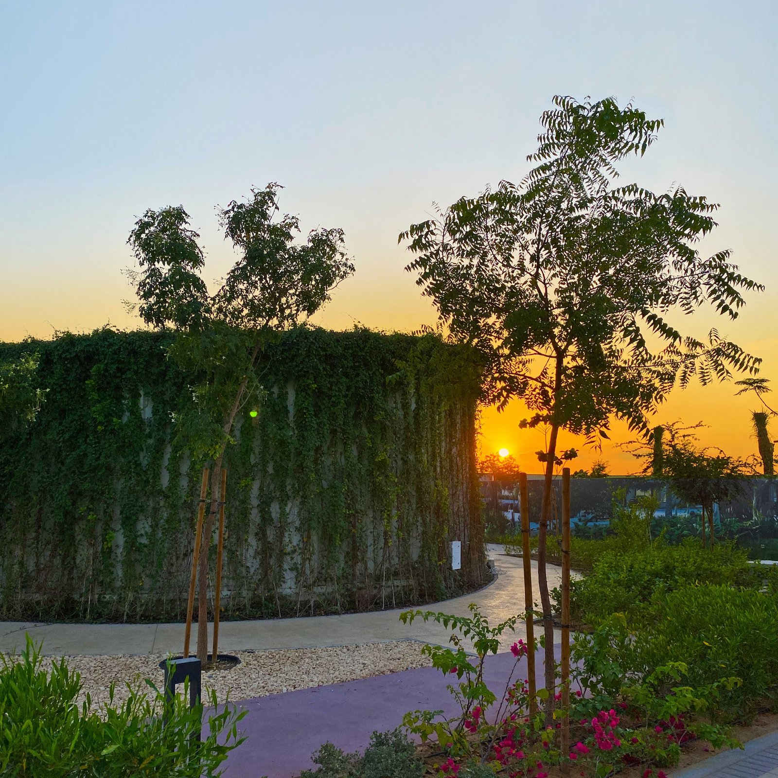 Sharjah Sustainable City _ solar